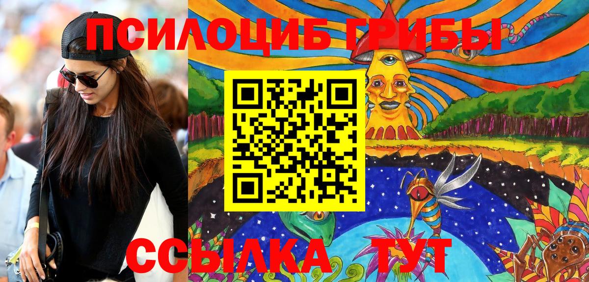 Псилоцибиновые грибы Psilocybe Прокопьевск